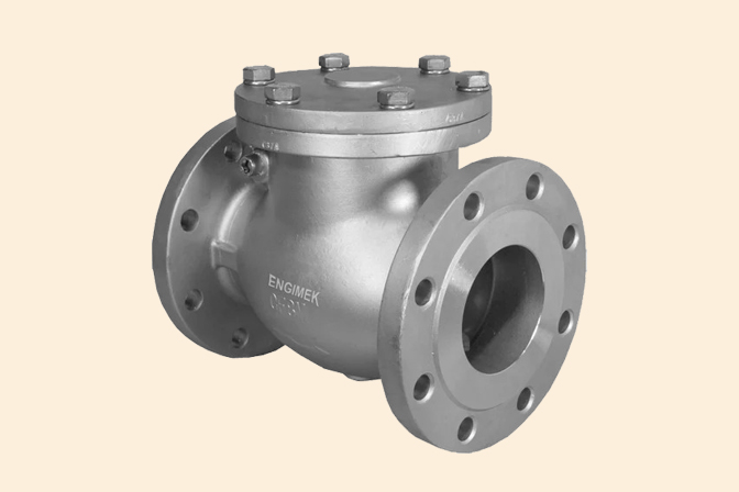 Check valve